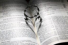 small thorn crown on a book