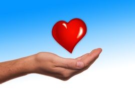 Heart on hand clipart