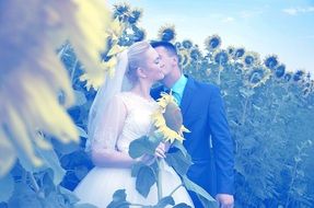 newlyweds near the field with sunflowers