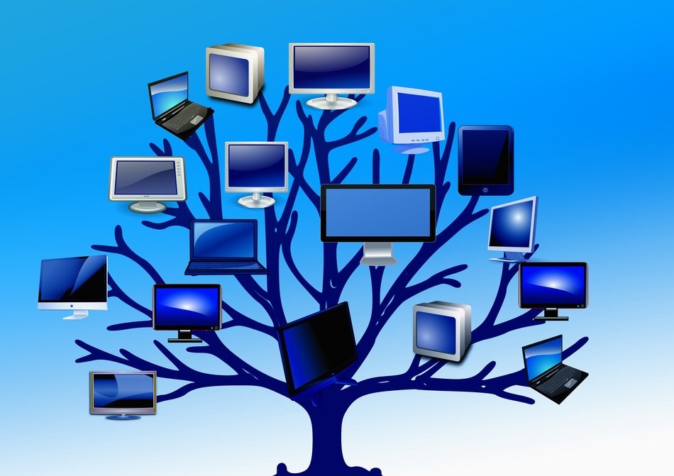 Tree with monitors on the branches