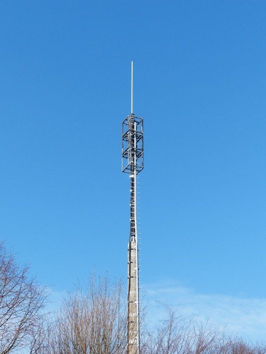 transmission tower among the trees