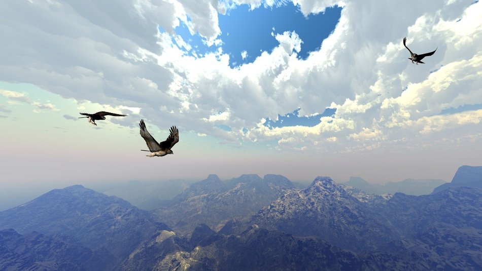 flight of birds over the mountains