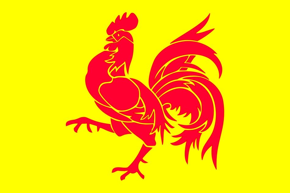 walloon flag drawing