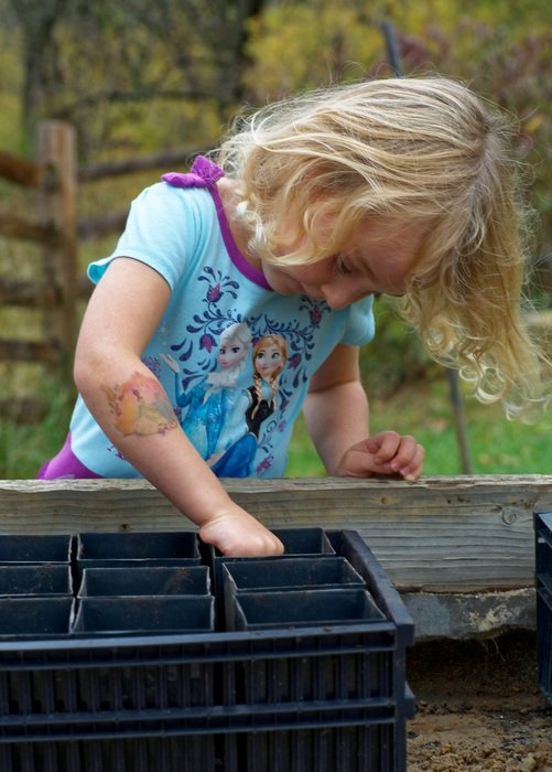 girl planting acorn