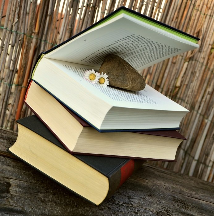 open book with stone and daisy
