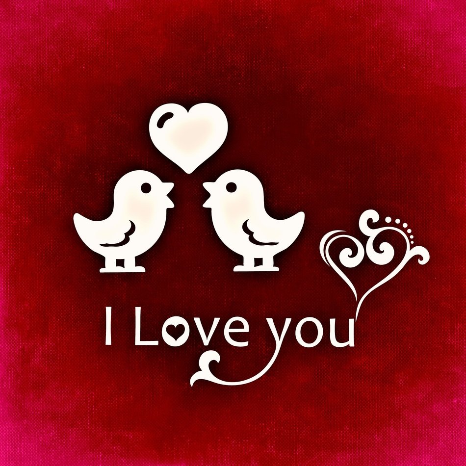 I love you, red postcard with two birds
