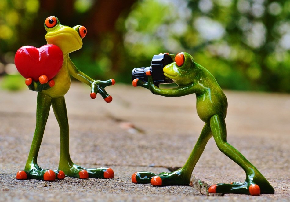 romantic statuettes of two frogs with a camera and heart