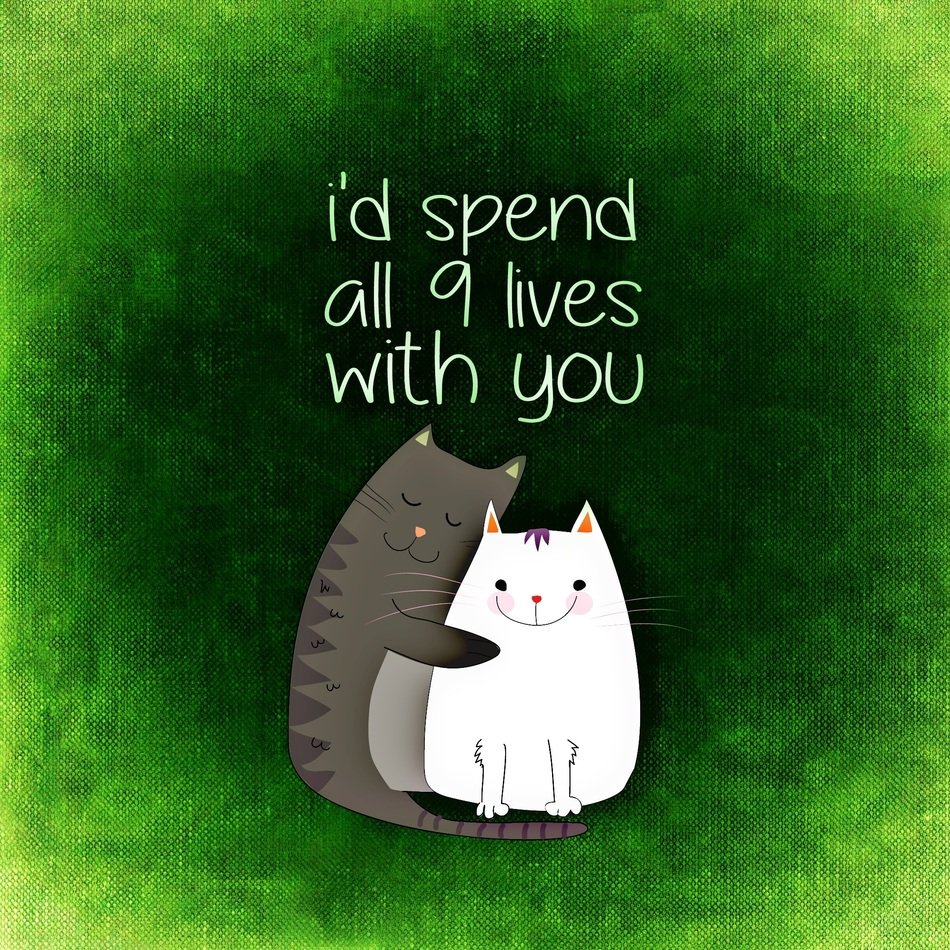 cat love together as a drawing