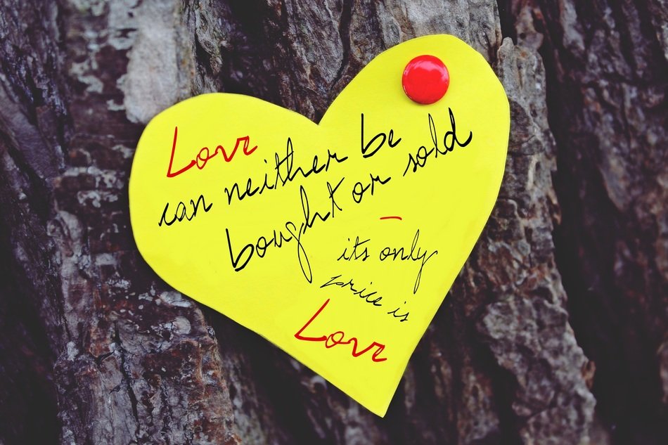 yellow love note on a tree