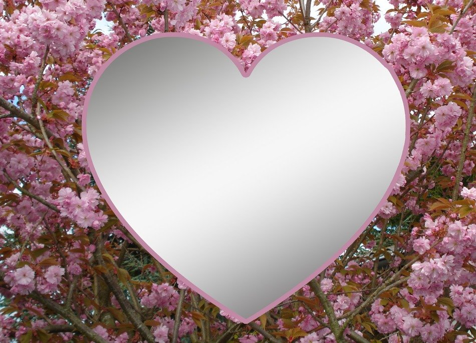 heart on a flowering tree background
