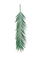 painted green feather on a white background