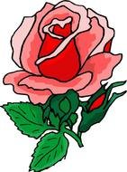 pink Rose Flower with bud, Clip Art