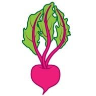 Beet Clip Art N19
