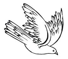 Flying Pigeon Clip Art