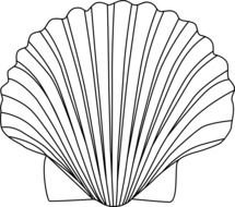 Sand Dollar Clip Art N11
