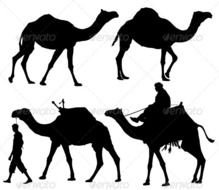 Camel Silhouette Clip Art N9