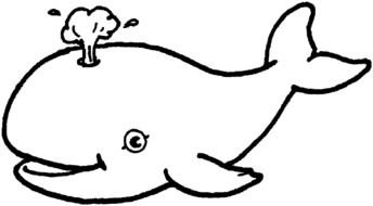 drawing of the Sea Animal