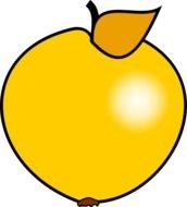 Golden Apple drawing