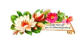 Pink Dogwood Flower Clip Art