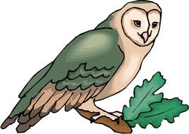 Owl Clip Art N131