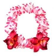 Hawaiian wreath with pink flowers