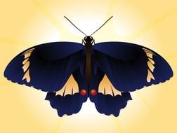 Beautiful Vector Butterfly