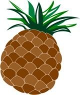 Pineapple Clip Art N37