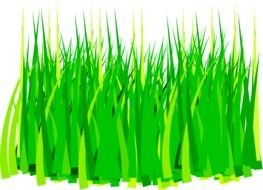 Grass Clip Art N58