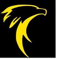 Eagle Head Logo Design drawing
