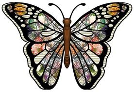 colorful Butterfly, Clip Art