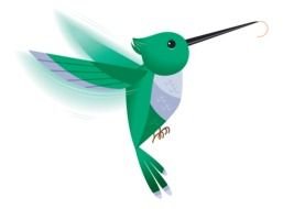 green small Hummingbird drawing