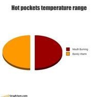 Funny Pie Charts N4