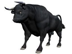 Strong Like Bull drawing