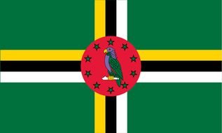 Dominica Flag drawing