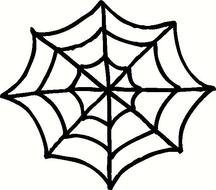 Halloween Spider Web N3