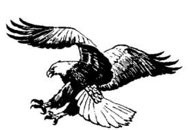 bird of prey as a picture for clipart
