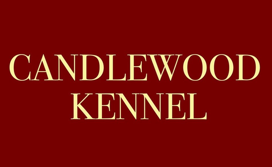 Clip art of Candlewood Kennel wallpaper