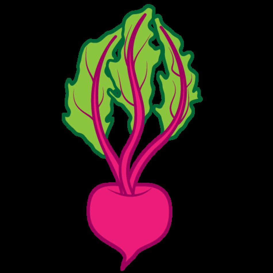 Beet Clip Art N19