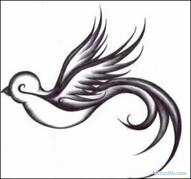 Sparrow Tattoo