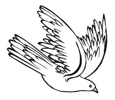 Flying Pigeon Clip Art