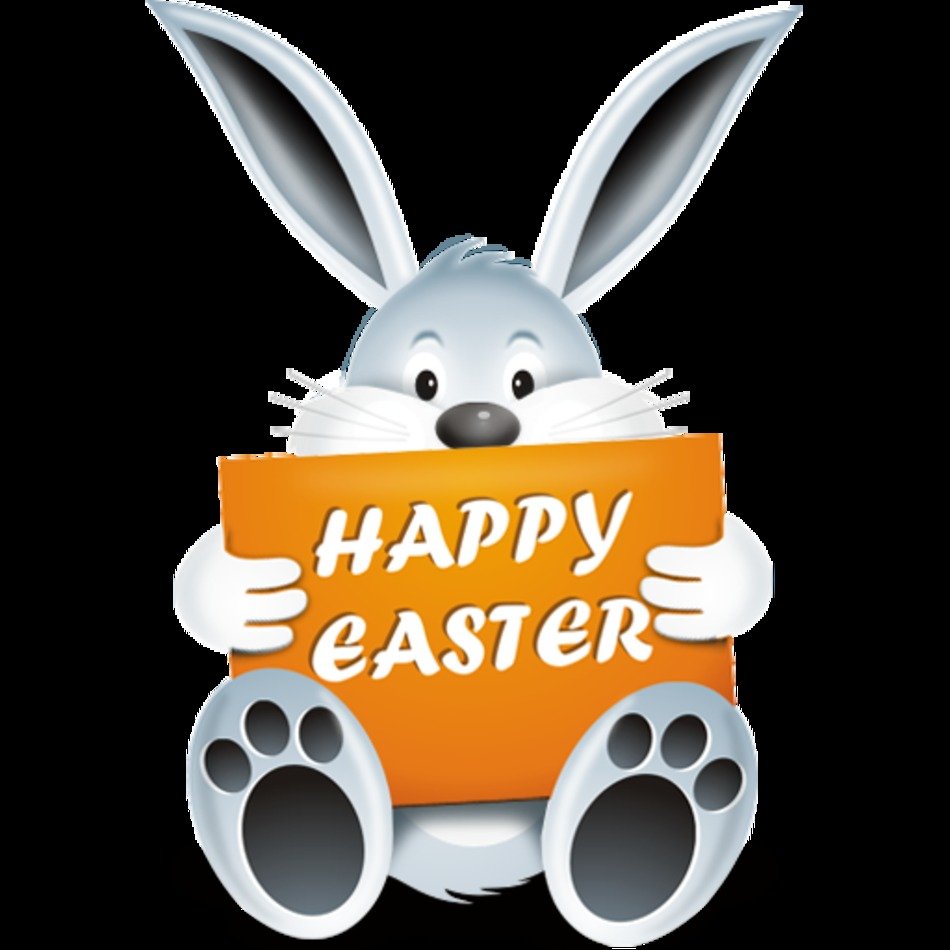 Happy Easter Bunny N6
