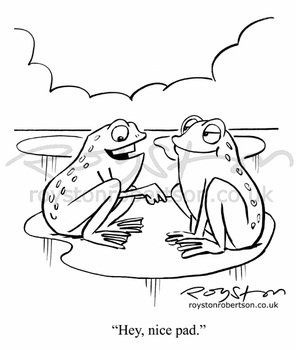 Cartoon Frog N16