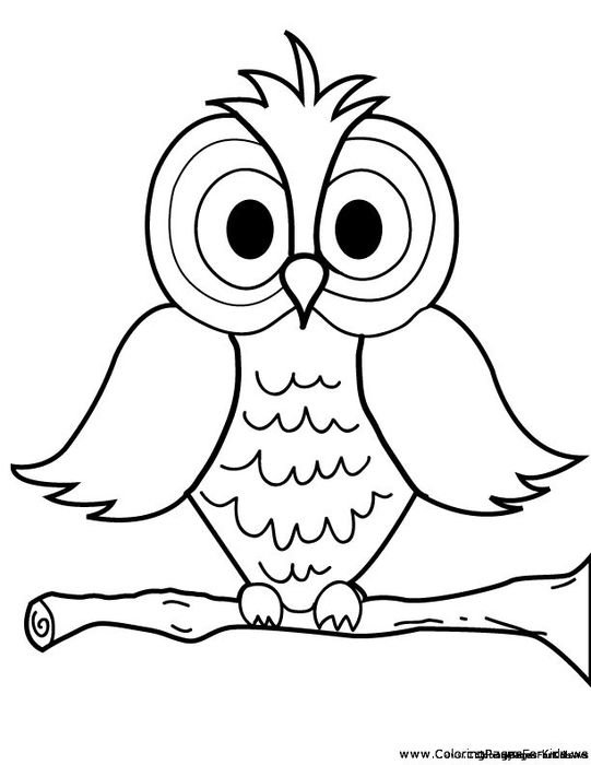 Cartoon Owl Coloring Pages N5