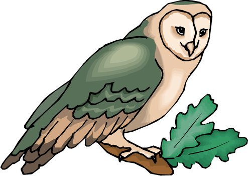 Owl Clip Art N131