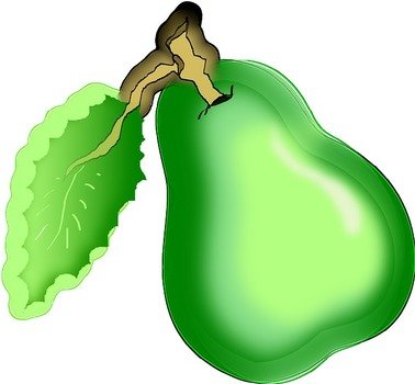 Pear Green Leaf Logo