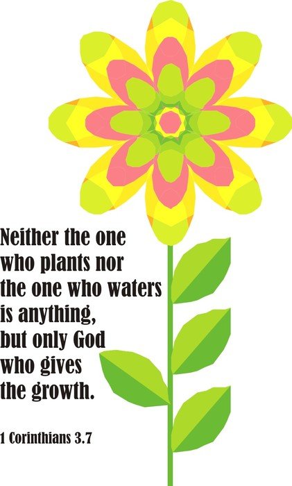 only god gives the growth, poster with flower