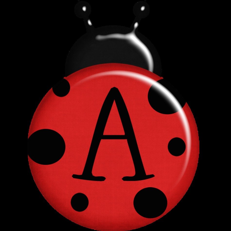 Ladybug Clip Art N63