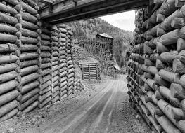 black and white photo of village architecture