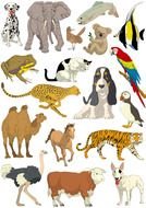 Animal Clip Art N65