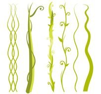 Jungle Vines Clip Art N11